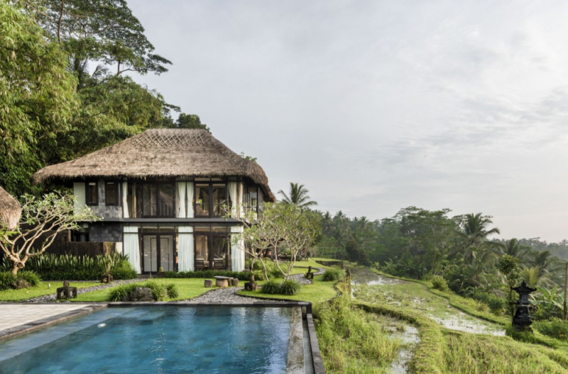 Современная вилла с соломенной крышей и видом на джунгли