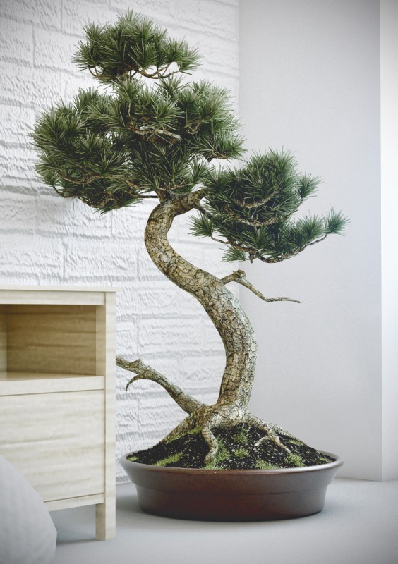 Интерьер светлых апартаментов Интерьер светлых апартаментов