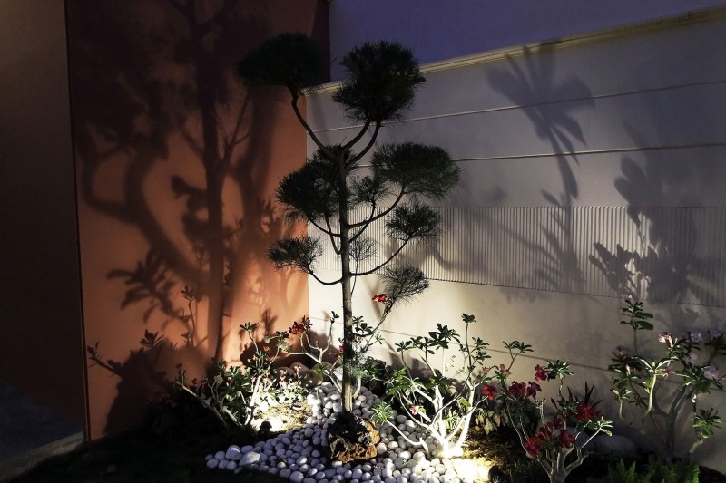 Прилегающая к дому терраса в Нью-Дели, Индия Прилегающая к дому терраса в Нью-Дели, Индия