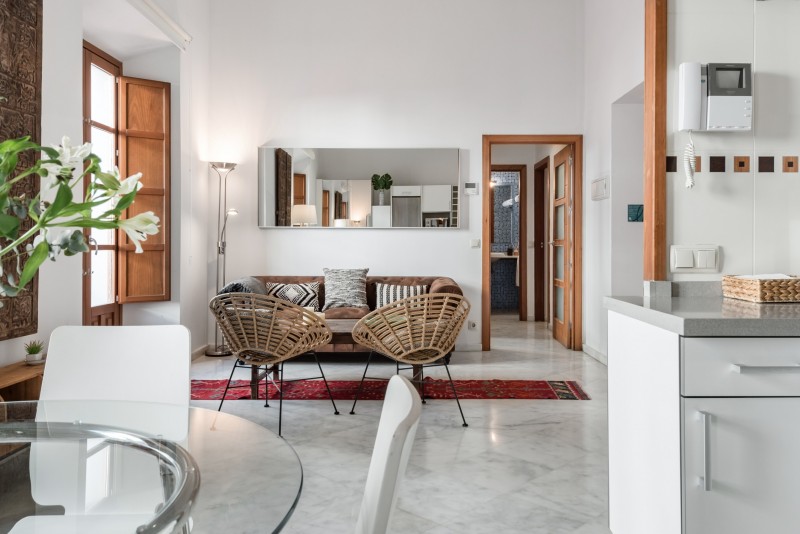 Светлые, изысканные апартаменты с террасой на крыше