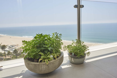 Приземистая мебель и художественные инсталляции в просторном светлом пентхаусе