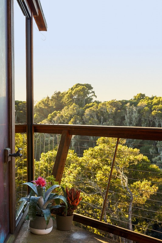 Панорамный вид на лес в уединенном "домике" на дереве Панорамный вид на лес в уединенном "домике" на дереве