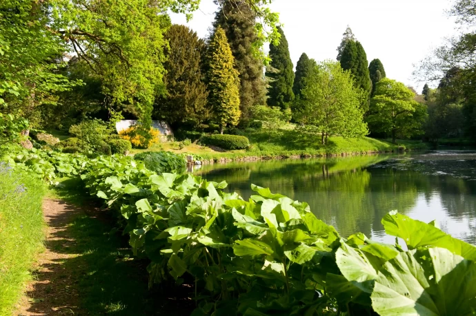 Поместье 1695 года в британском Котсуолдсе, превращённое в отель Cowley Manor