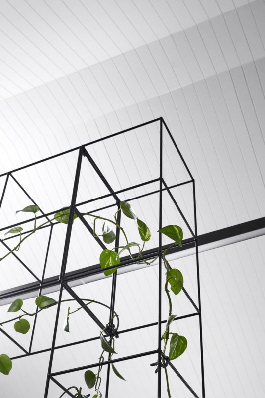 Черно-белый интерьер и живая зелень в офисе в Мельбурне Черно-белый интерьер и живая зелень в офисе в Мельбурне