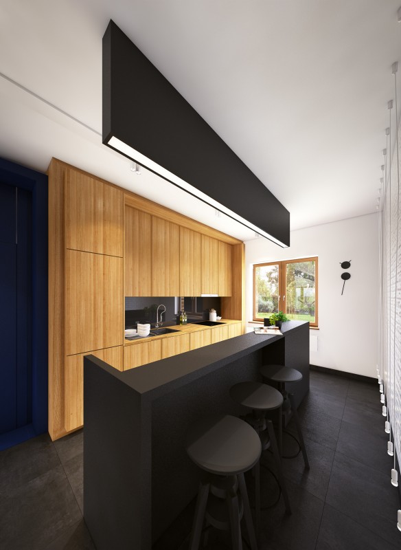 Проект дома в Варшаве