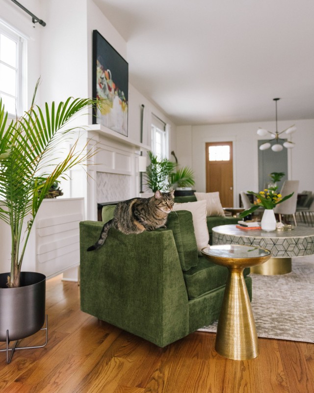 Сочетание винтажа и модерна в интерьере дома в Нашвилле, Теннесси