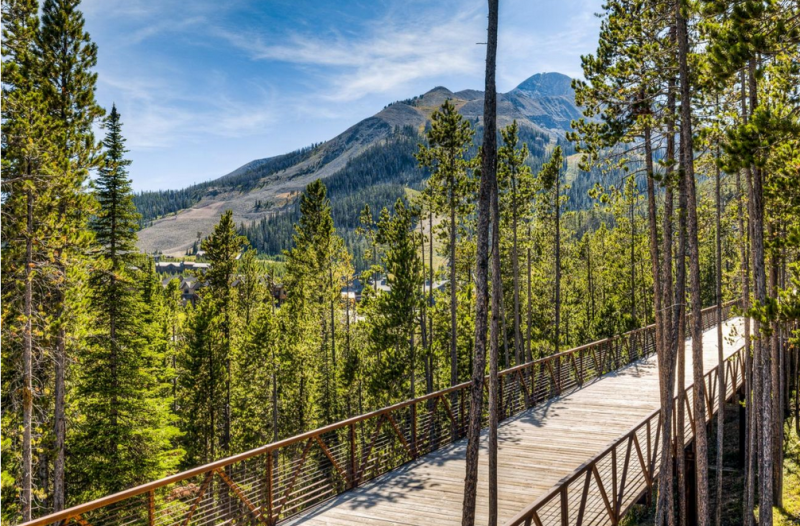 Интерьер шале в Монтане