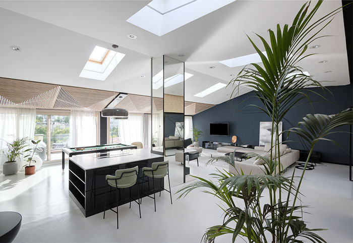 Открытая планировка просторной квартиры в Белграде