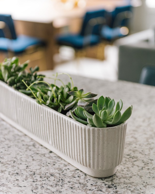 Стильный интерьер квартиры в Даунерс-Гроув, штат Иллинойс