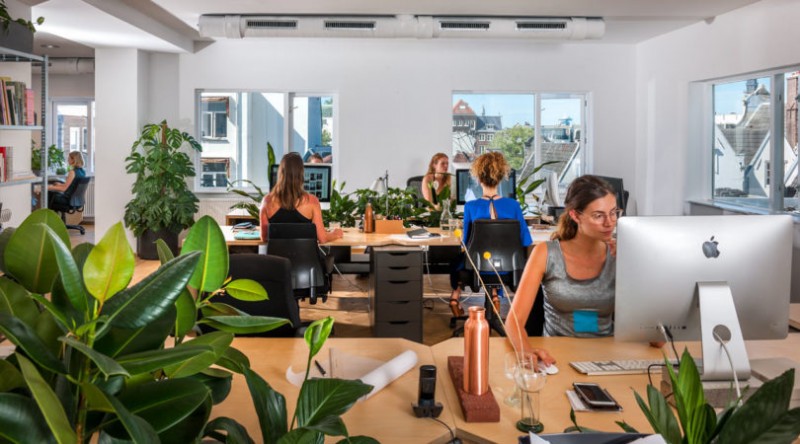 Творческая студия для дизайнеров в Амстердаме