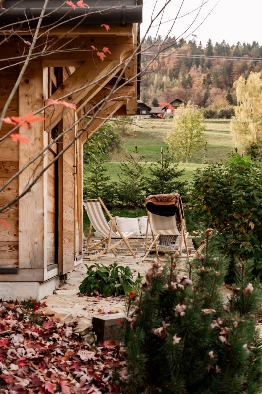 Элитное шале в Альпах