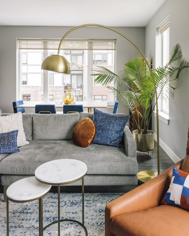 Стильный интерьер квартиры в Даунерс-Гроув, штат Иллинойс