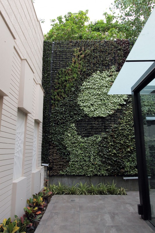 Прилегающая к дому терраса в Нью-Дели, Индия Прилегающая к дому терраса в Нью-Дели, Индия