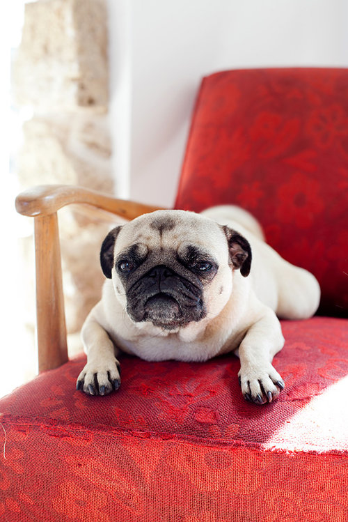 Дом 1850 года постройки в Тель-Авиве Дом 1850 года постройки в Тель-Авиве