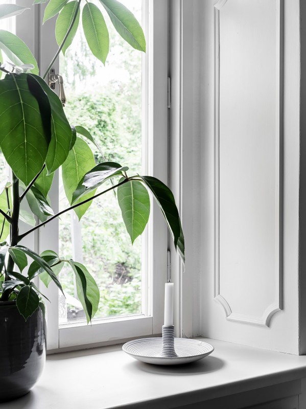 Хорошо оборудованные апартаменты с очаровательными деталями Хорошо оборудованные апартаменты с очаровательными деталями