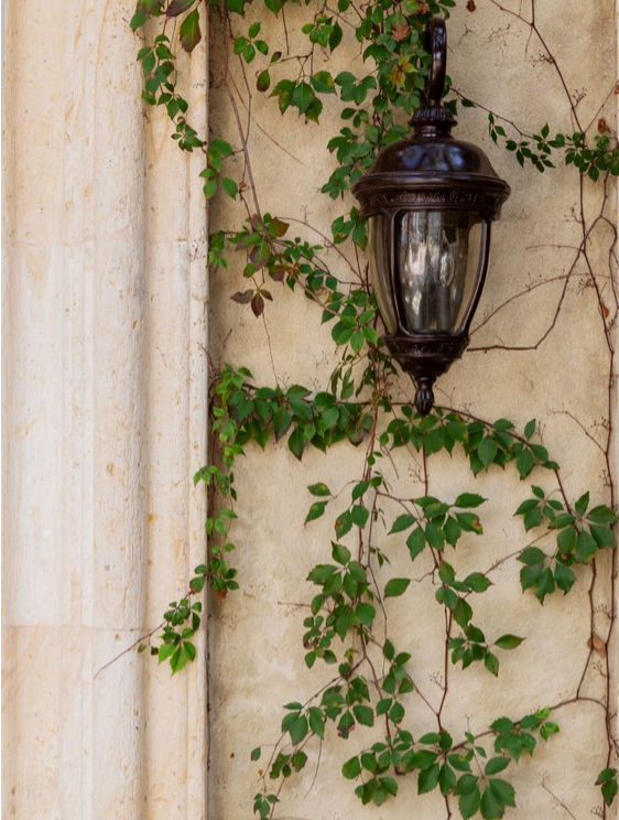 Вилла в романском стиле с видом на океан в Сан-Хосе-дель-Кабо, Мексика Вилла в романском стиле с видом на океан в Сан-Хосе-дель-Кабо, Мексика