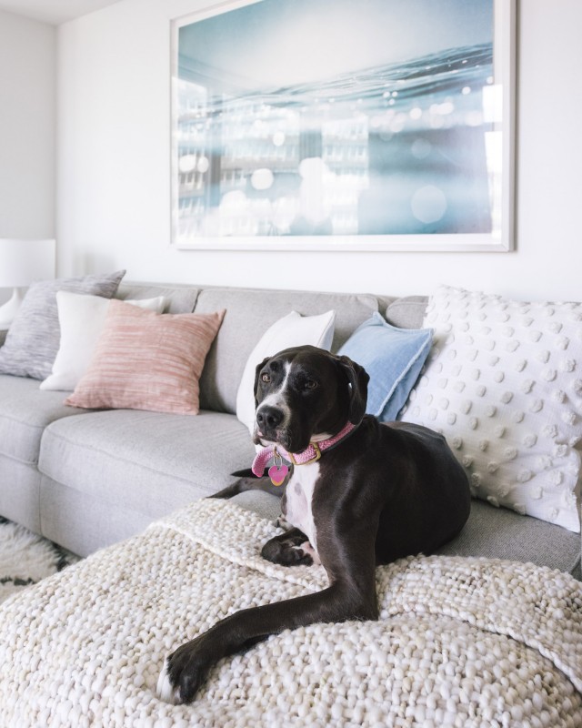 Интерьер просторной квартиры в Нью-Йорке