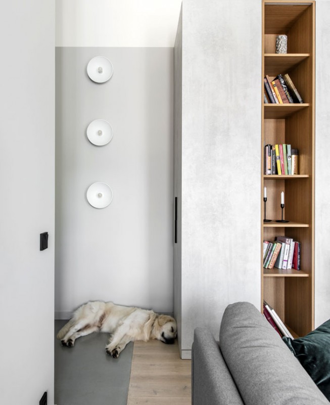 Небольшая квартира с открытой планировкой в Вильнюсе