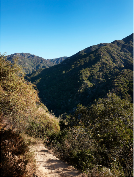 Хижина в горах Сан-Габриэль, национальный заповедник Анджелес, США