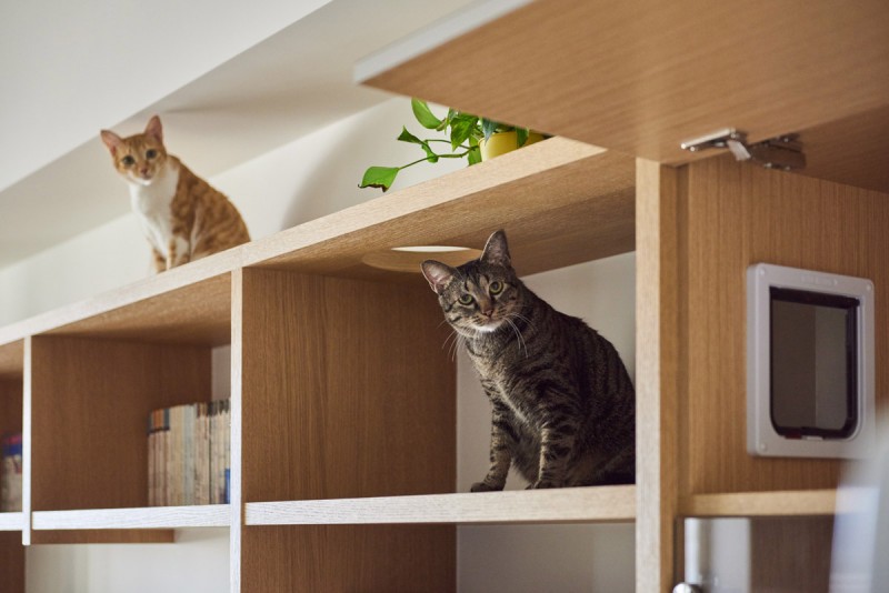 Интерьер дома в Тайбэе Интерьер дома в Тайбэе