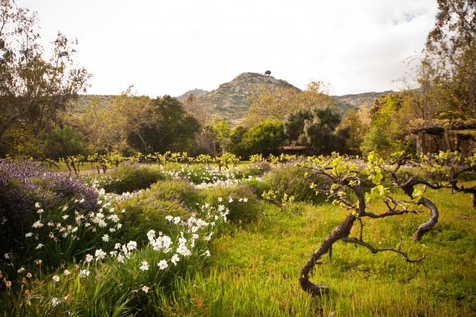 Курорт Rancho La Puerta в Текате, Мексика