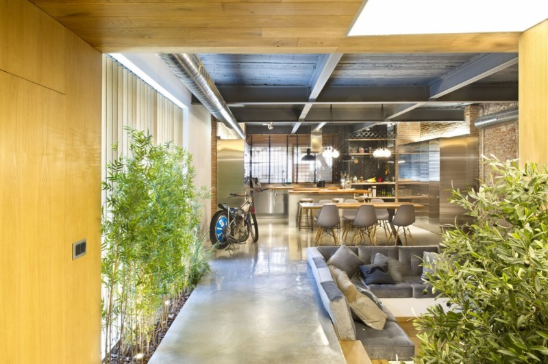 Живая зелень в интерьере лофта Живая зелень в интерьере лофта