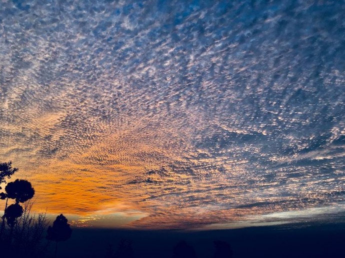 Небольшой отель Kumaon в индийских Гималаях