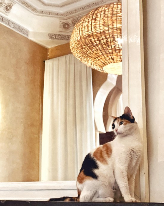 Отель Le Riad Yasmine в Марракеше, Марокко