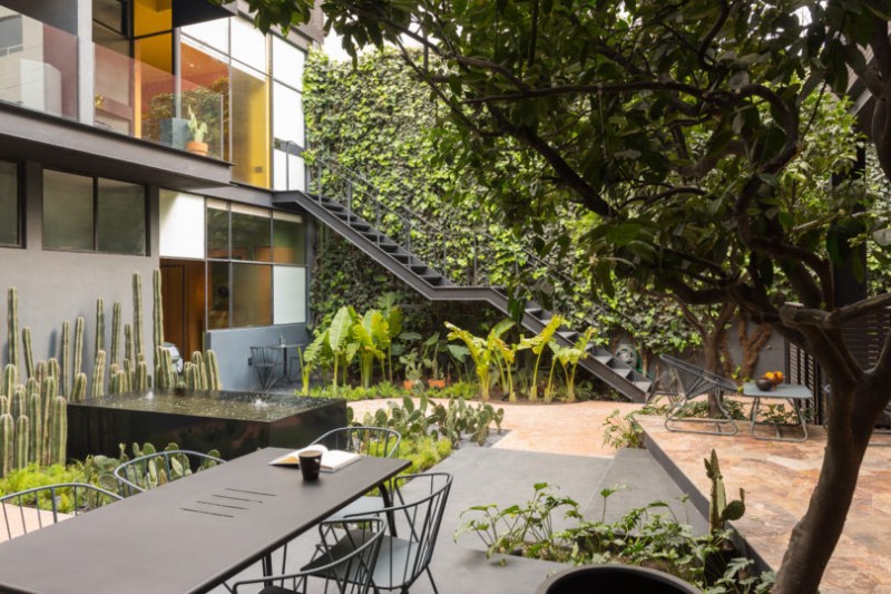 Реновация особняка в Мехико 1913 года постройки