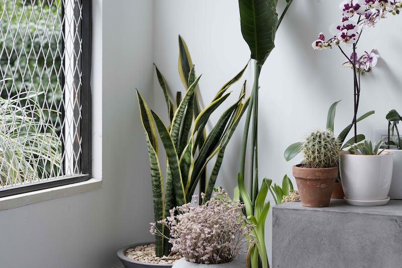 Монохромный интерьер квартиры в Тель-Авиве