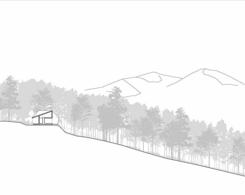 Оригинальная геометрия дома в Нью-Гемпшире Оригинальная геометрия дома в Нью-Гемпшире