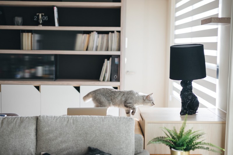 Интерьер квартиры в Тайбэе, Тайвань Интерьер квартиры в Тайбэе, Тайвань