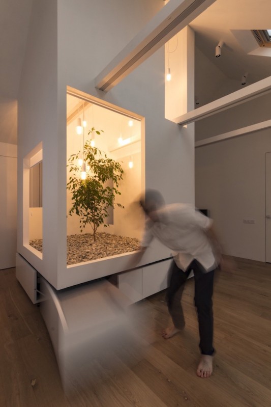 Мини-сад в многофункциональной квартире