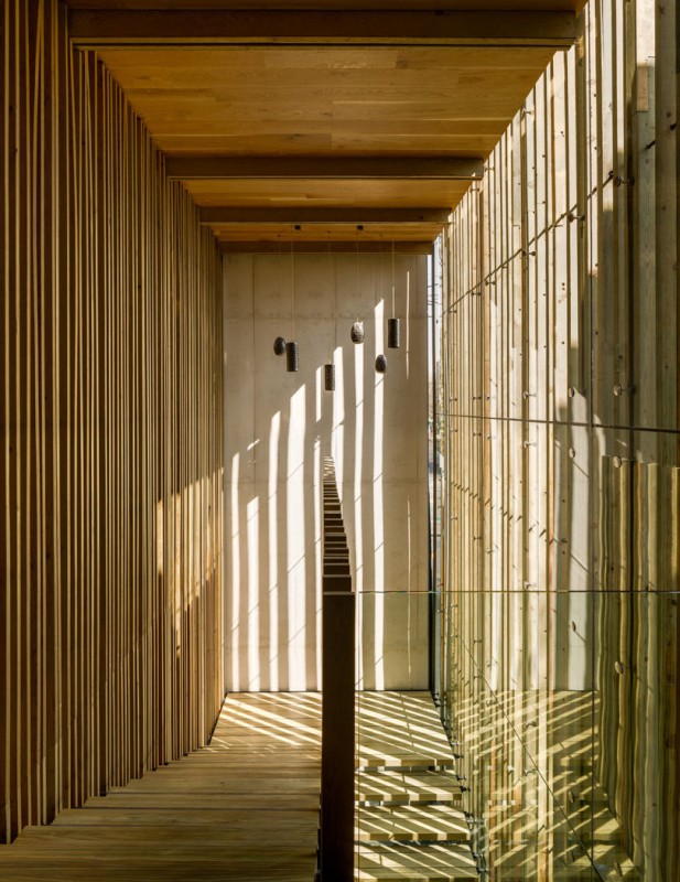 Piedra Sal: современный ресторан в Мехико Piedra Sal: современный ресторан в Мехико