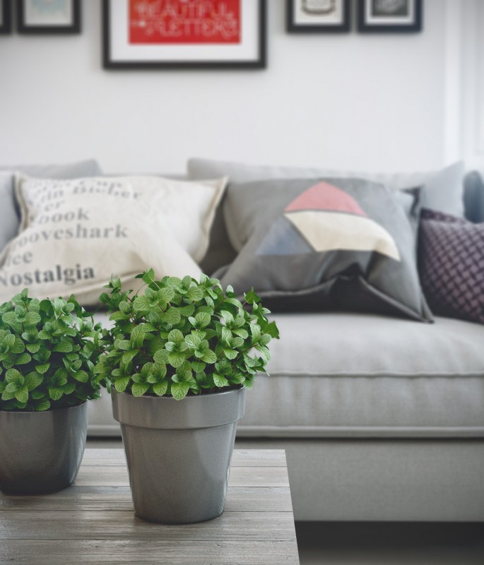 Интерьер светлых апартаментов Интерьер светлых апартаментов