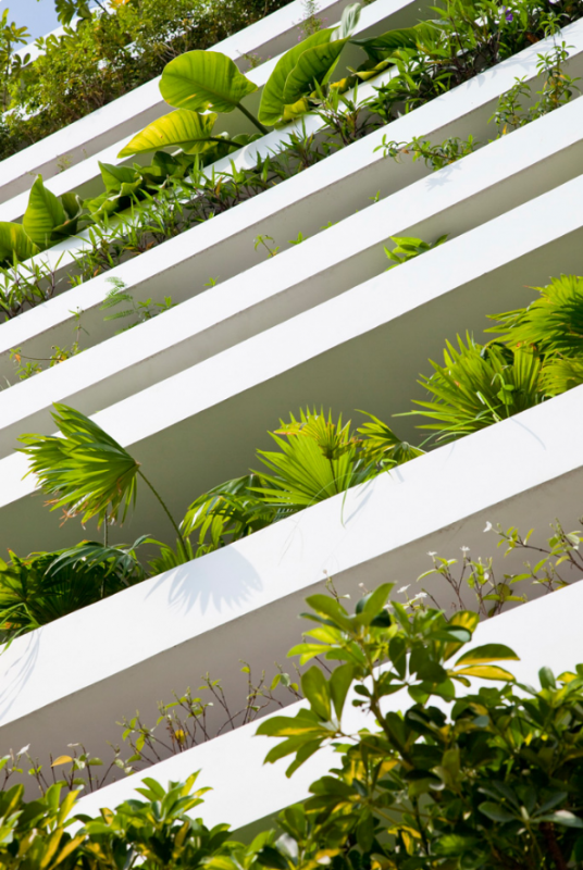 Оригинальный дом для семейной пары во Вьетнаме Оригинальный дом для семейной пары во Вьетнаме