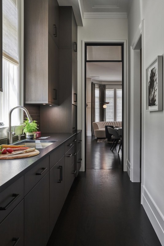 Интерьер роскошного дома в Линкольн-парке, Кук-Каунти, Иллинойс