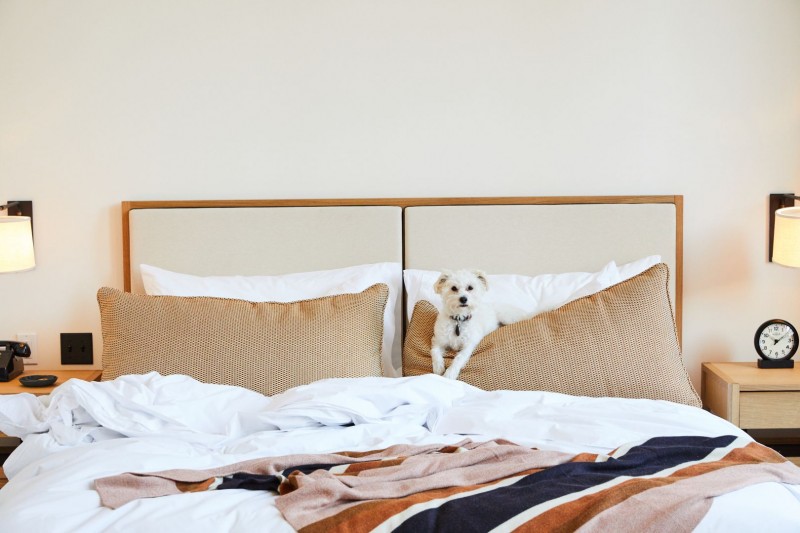 Отель Shinola - освежающая и современная резиденция на 129 номеров в самом центре Детройта Отель Shinola - освежающая и современная резиденция на 129 номеров в самом центре Детройта