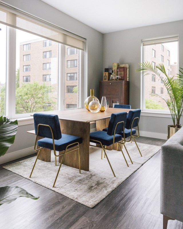 Стильный интерьер квартиры в Даунерс-Гроув, штат Иллинойс