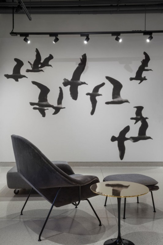 Офис и выставочный зал Knoll в центре Лос-Анджелеса