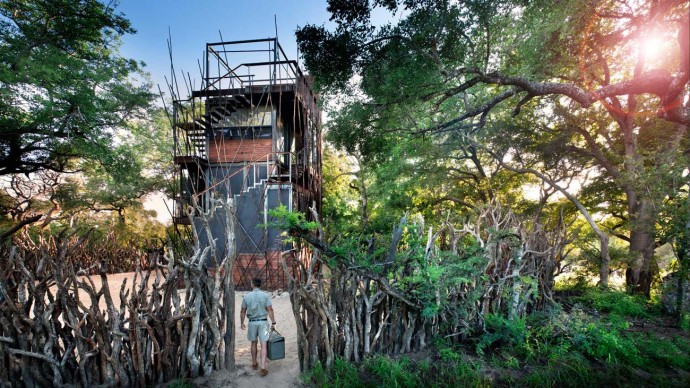 Ngala Treehouse - уединенный домик в частном заповеднике Ngala Private Game Reserve, ЮАР