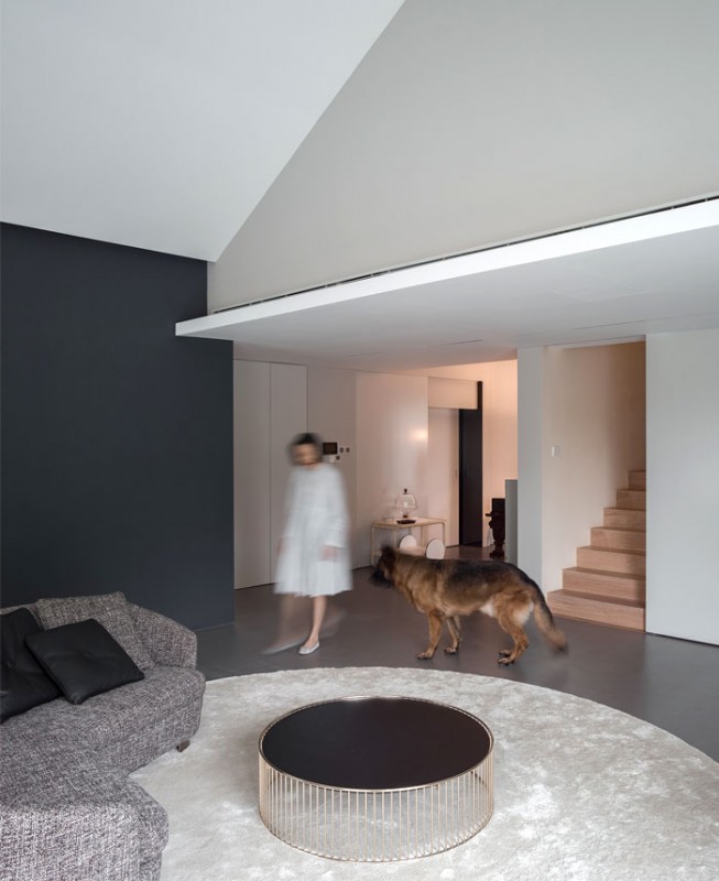 Жилой проект Dog House, предназначенный для владельцев и их любимой собаки