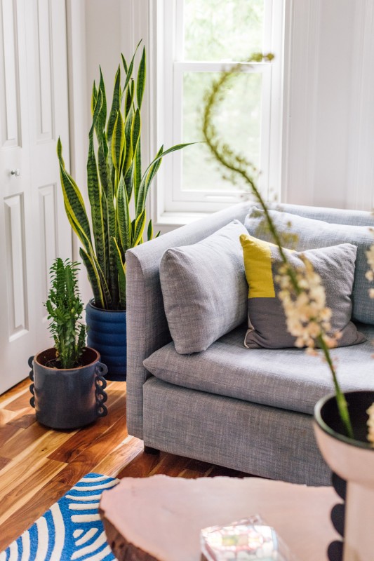 Таунхаус 1920 года постройки в Восточном Уильямсберге, Бруклин