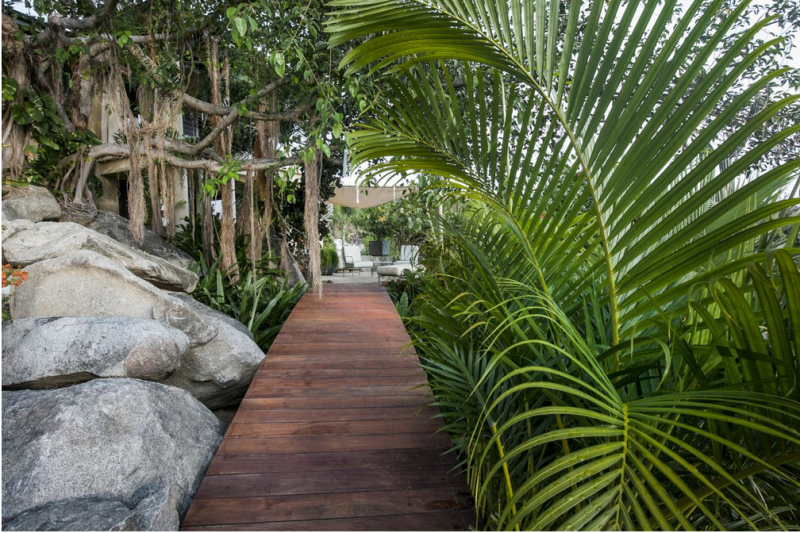 Вилла в окружении пышного тропического сада на Британских Виргинских Островах Вилла в окружении пышного тропического сада на Британских Виргинских Островах