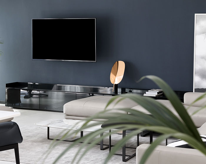 Открытая планировка просторной квартиры в Белграде