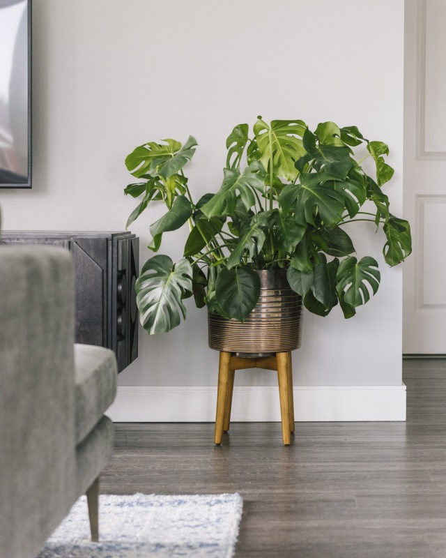 Стильный интерьер квартиры в Даунерс-Гроув, штат Иллинойс