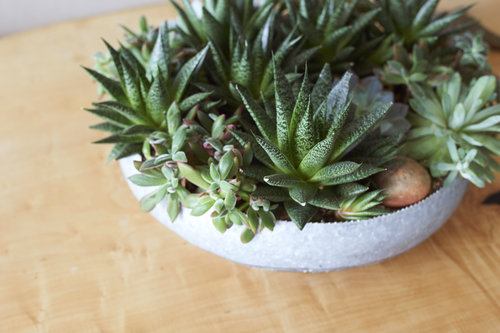 Приземистая мебель и художественные инсталляции в просторном светлом пентхаусе