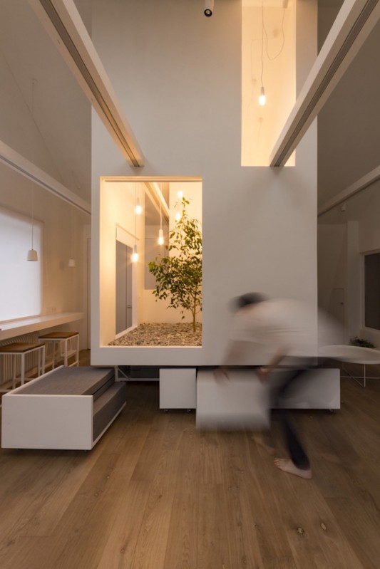 Мини-сад в многофункциональной квартире