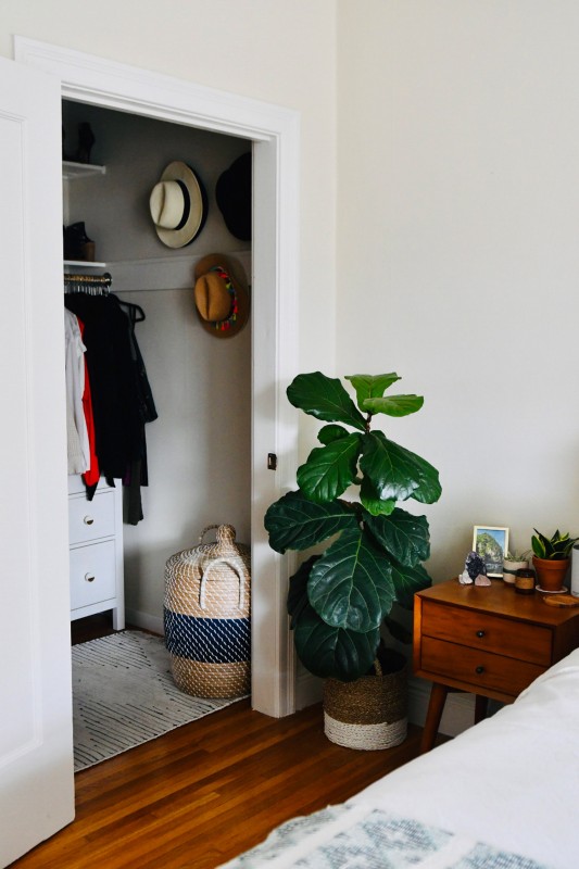 Теплые древесные акценты и живая зелень в интерьере  квартиры в Сан-Франциско