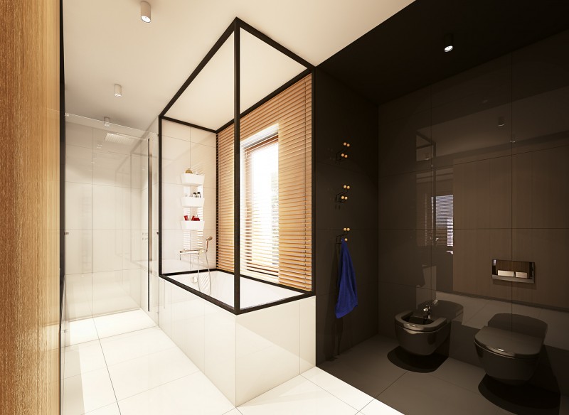 Проект дома в Варшаве